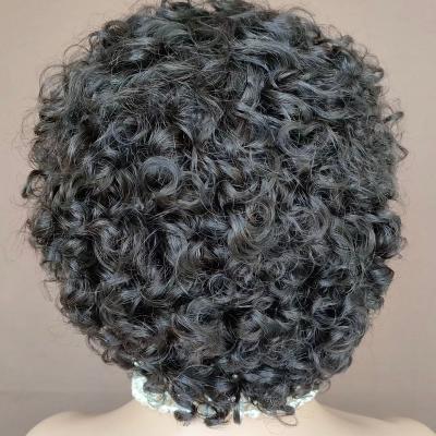 China High Quality Curly Curl Pixie Hair Curls Hot Selling Pixie Cut Brazilian Human Hair Full Lace Wigs Color Women Seller Fast Delivery for sale