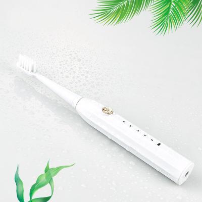 China Dropshipping Teeth Cleaner 5 Modes Travel Portable Waterproof 4 Brush IPX7 Head Whiting Smart Electric Toothbrush for sale