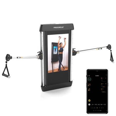 China Steel+Plastic+Rubber Workout For Home Wall Mounted Intelligent Mirror Fitness Training Machine for sale