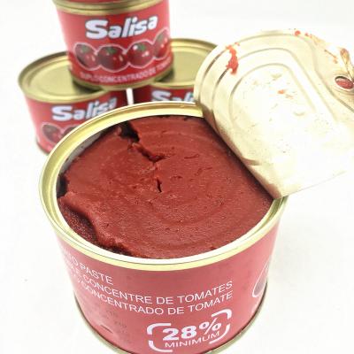 Chine Sweet Bulk Drum Tomato Puree Tin TPT-800 Solid Delicious Dry Paste Fresh à vendre