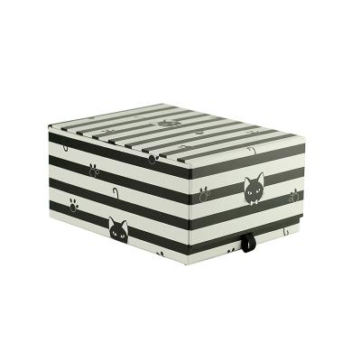 China Portable Storage Box Girl Storage Box Viable Bag Storage Box And Trash Cans for sale