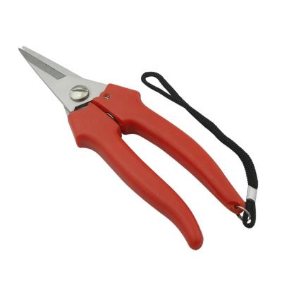 China Anti-skid Handle S6-1031A Factory Price Garden Shears Garden Scissors For Branch Gardening Design for sale