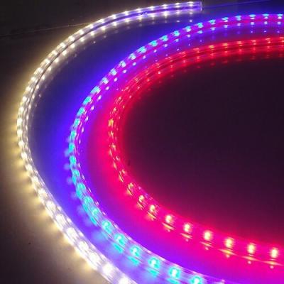 China High Quality Theme Park Landscape RGB 5050 220v LED Strip 50m/roll 60led/m for sale