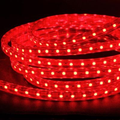 China Wholesale Outdoor 12W 5050 60pcs 72pcs Waterproof IP65 RGB Led Strip Lights for sale