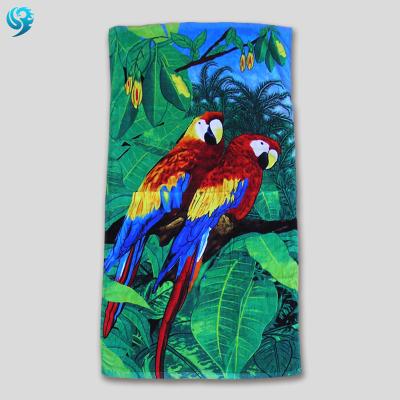 China 100% Cotton Parrot Compressed Velvet Promotional Gift Reactive Printed Beach Towel for sale