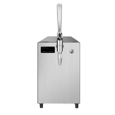 China Nitro Cold Brew Dispenser Hotel Restaurant Commercial Single Double Tap Still Liquid Nitro Coffee CHS1C for sale