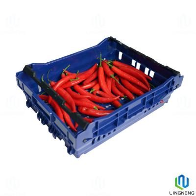 China 8L Caja agrícola de alta calidad de tomate de hongo de plástico ventilado y apilable en venta