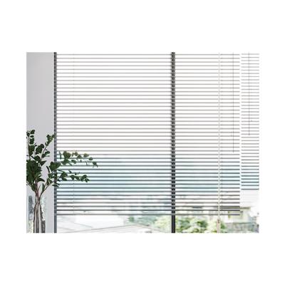 China Factory direct wholesale minimalist interior blinds remote ziptrack blinds skylight solar blinds for sale