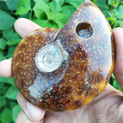 China Health Smoking 2017 New Product Natural Quartz Fossil Stone Ammonite Crystal Smoking Pipe for sale