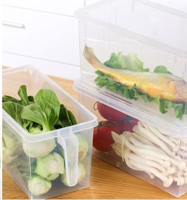 China Large Size Freshness Preservation: 32*15*15.5cm Vegetable Fridge Organizer Boxes Crisper Pack with Handle and Lid - One PC for sale