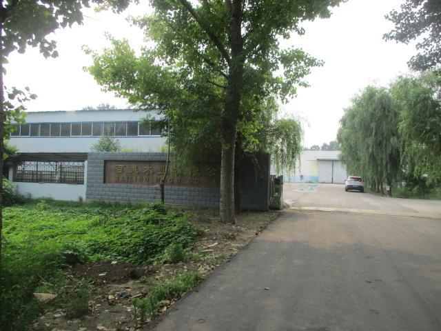 Verified China supplier - Shouguang Bailing Wood Co., Ltd.