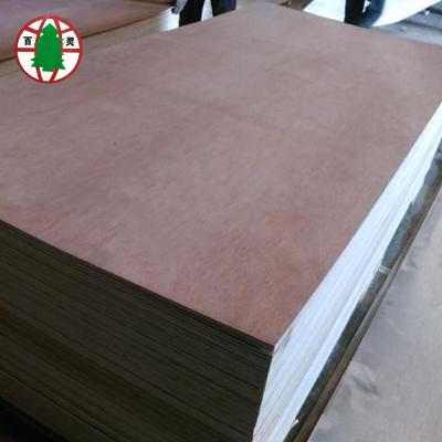 China Factory Construction Furniture Use 8mm 18mm Bintangor Plywood Price Directly Sell for sale