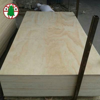 China Industrial bulk pine Iso9001 plywood for sale for sale