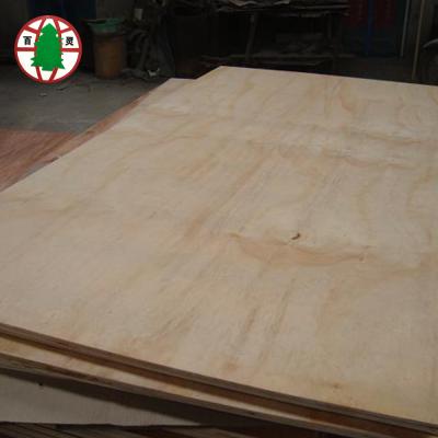 China Construction China Factory 4x8 18mm Cheap Waterproof Pine Plywood Price for sale