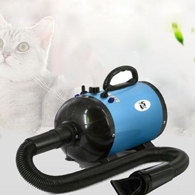 China Sustainable Pet Hair Blow Dryer Dog Grooming High Power Machine for sale