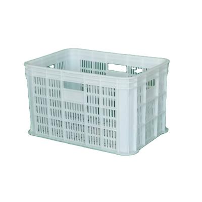 China Mesh Exclusive Sales Customized Mesh Style Plastic Plant Storage Boxes for sale