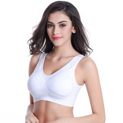 China Size 7XL Comfort Women Bra Seamless Wireless Free Bralette Plus Size Seamless Sports Bra With Removable Pads for sale