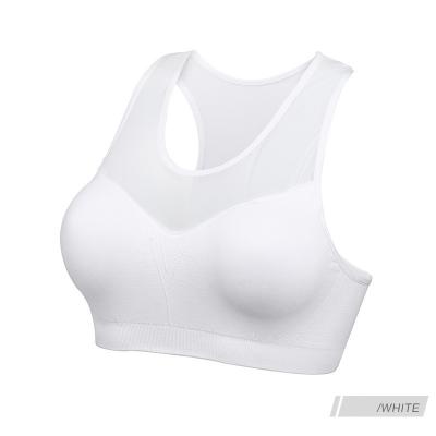 China New Antibacterial Factory Shockproof Running Fitness Vest Type No Steel Ring Gathering Mesh Breathable Sports Bra for sale