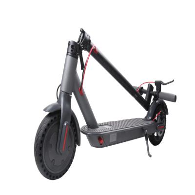 China Factory unisex 10 inch foldable adult electric aluminum scooter with foldable design with 350w power supply for sale