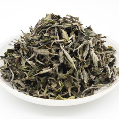 China Fuding loose tea SLW03-1loose tea leaf weightloss organic tea white tea for sale