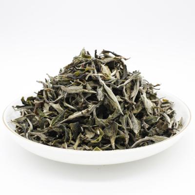 China Fuding White Tea SLW03-2 Best Loose White Tea Brands For Weight Loss for sale