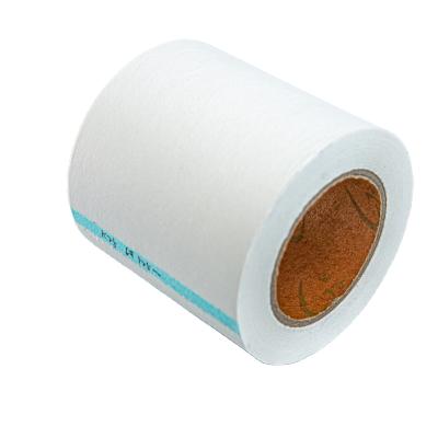 China Widely Used Factory Sale Various Coffee Filter Paper Roll Coffee Pod Bag Filter Paper for sale