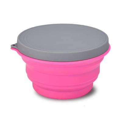 China Sustainable Collapsible Pet Bowl , Dual Silicone Portable Travel Bowl Equipped for sale