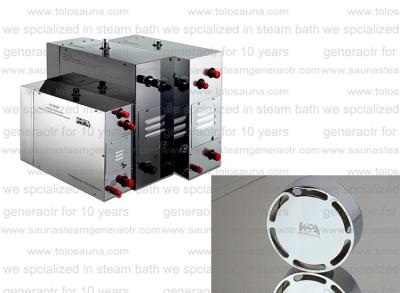 China Automatic Wet Steam Sauna , portable 4kw electric Steam Generator for shower for sale