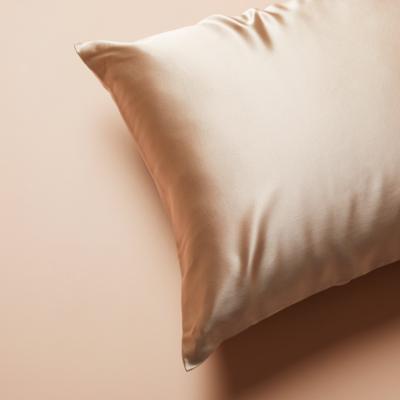 China Antistatic 100% Mulberry Silk Multi Color Wrap Pillow Case 19mm Pure Silk Pillowcase for sale