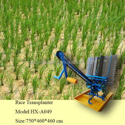 China Farmland planting rice drum seeder/seedling planter seedling planting machine for sale