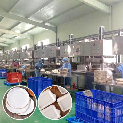 China Factory Recycle Disposable Bagasse Pulp Paper Plate Making Machine For Sale for sale