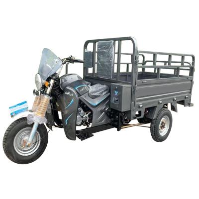 China Cargo Made In China Heavy Duty Cargo Gasoline Motorized Tricycles HOT SALES In AFRICA for sale