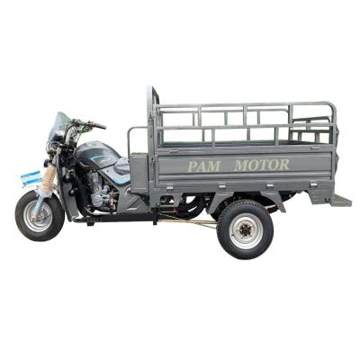 China Hot Selling Cargo 200 - 250W Cargo Gasoline Motorized Tricycles for sale