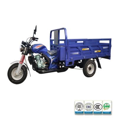 China Cargo Made In China Heavy Duty Cargo Gasoline Motorized Tricycles for sale