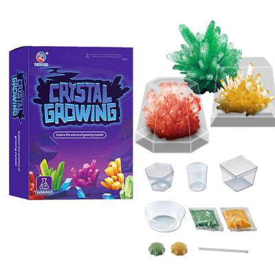 China Crystal Growing Science Experimental Kit Educational Gift for Kids 22.5*16.5*6cm for sale