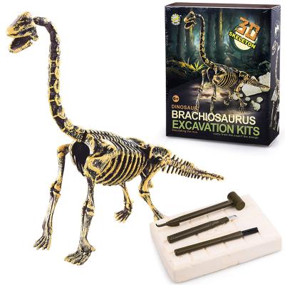 China Dinosaur Toy Top Rated Brachiosaurus Dino Dig Kit Fossil Excavation Kit Education other toys for children 22.3x19.3x5.5cm for sale