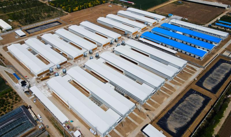 Επαληθευμένος προμηθευτής Κίνας - Qingdao KXD Steel Structure Co., Ltd