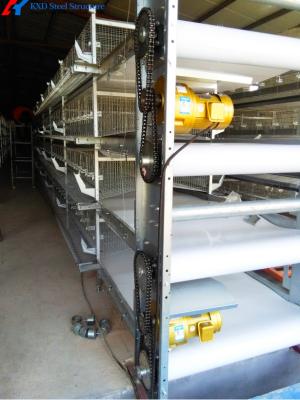 China Chicken Automatic Manure Cleaning System Of Poultry House Cage Feeding for sale