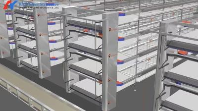 China Poultry Farm Equipment A Type Battery Broiler Chicken Cage For Small Farm for sale