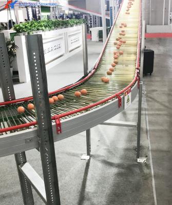 China Custom Automatic Chicken Egg Collection System For Layers Cage Feeding for sale