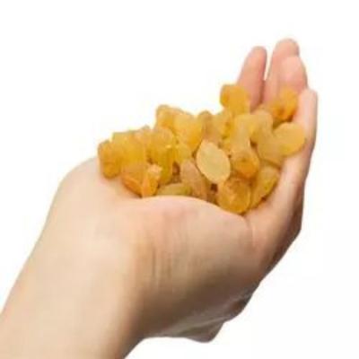 China Sweet\2022 New Factory Grown Delicious Natural Bulk Golden Yellow Raisin Non-GMO Wholesale Organic Hybrid Golden Raisins for sale