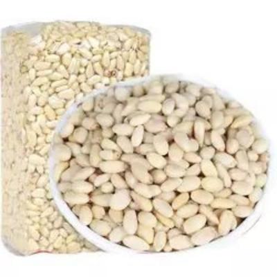 China Best Nutrition Quality High Price Of Siberian Pine Nut Kernels for sale