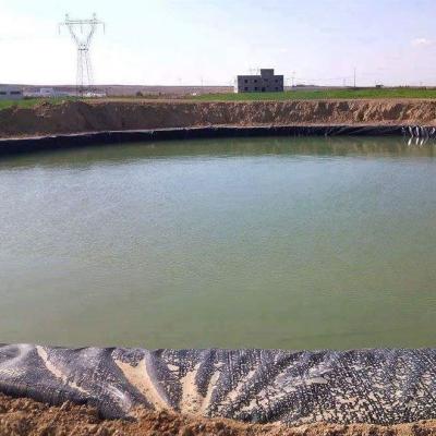 China 0.2mm-3mm Thickness HDPE Geomembrane for Fish Farm Pond Liner Earthwork Products for sale