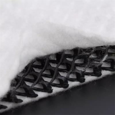 Chine Réseau de drainage composite tridimensionnel en noir et blanc Geonet Hdpe 5 mm Tapis de drainage Tissu non tissé à vendre