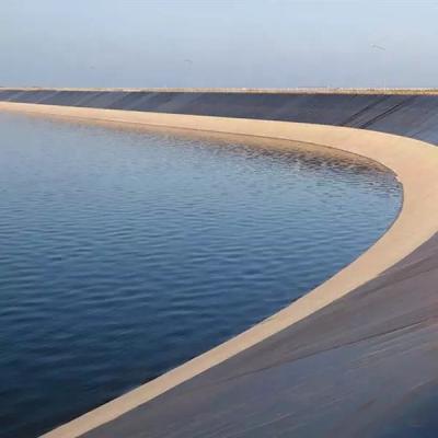 China 0.5mm HDPE Geomembrane Fish Farm Pond Liner for Circular Fish Farm Plastic Water Tanks for sale