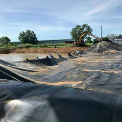 China Geomembranen für den Außenbereich 0,5 mm 0,75 mm 1,0 mm 1,5 mm 2,0 mm HDPE-Fischstaudamm-Liner zu verkaufen