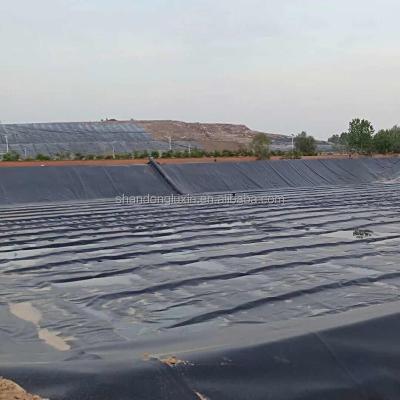 China Direktes HDPE-Geomembran-Wasserdichtes Liner 2 mm HDPE-Geomembran-Liner für Fischeicherdamm zu verkaufen