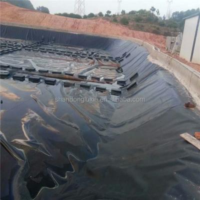 China Free Spare Parts HDPE Geomembrane for Fish Pond Farm Liner in Industrial Design Style for sale