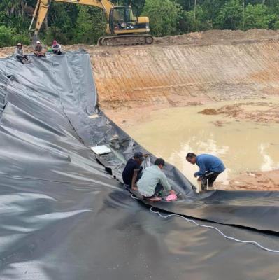 Китай Геомембрана HDPE водонепроницаемая прудовая подкладка водонепроницаемая PE черная пластиковая прудовая подкладка листовка продается