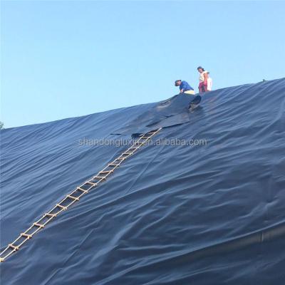 China Prefabricated Smooth Geomembrane Textured Geomembrane 2mm for HDPE Waterproof Design for sale